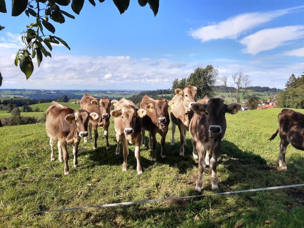 Ferienwohnung Pickenhan Scheidegg Bagian luar foto