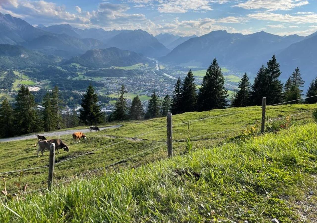 Ferienwohnung Pickenhan Scheidegg Bagian luar foto