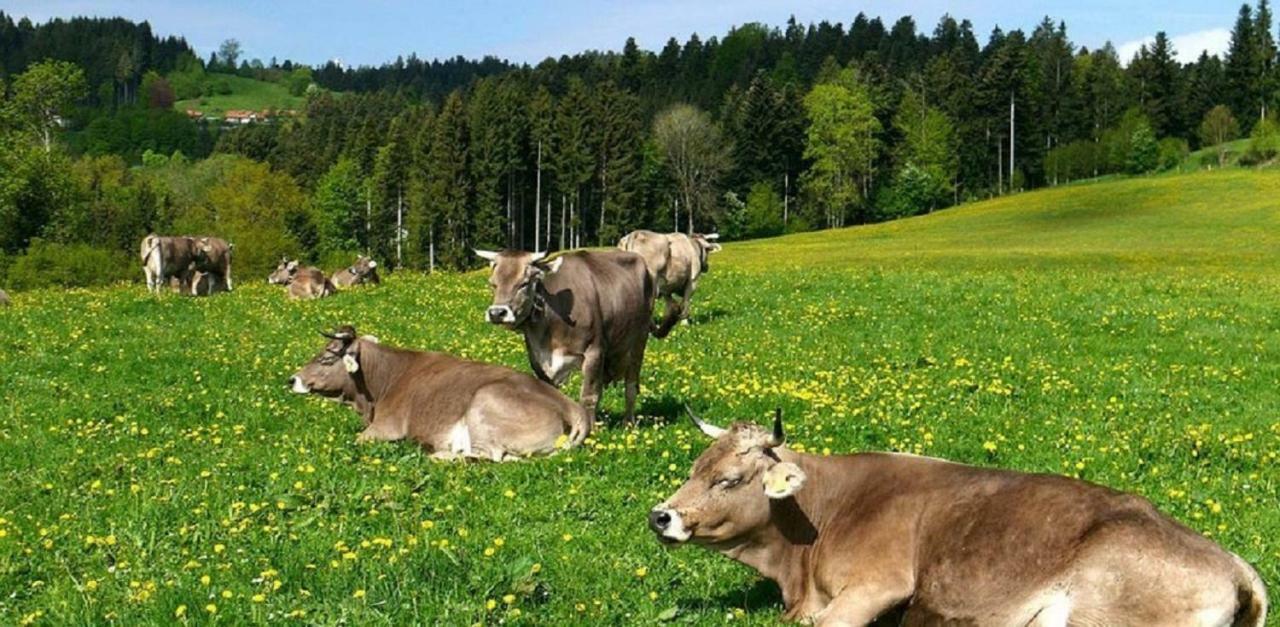 Ferienwohnung Pickenhan Scheidegg Bagian luar foto